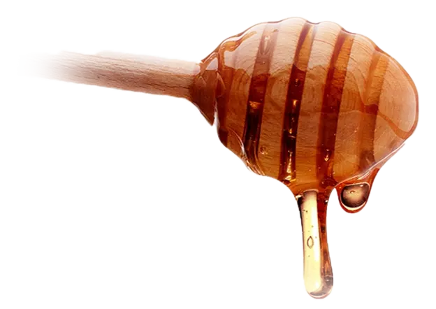 honey2 1
